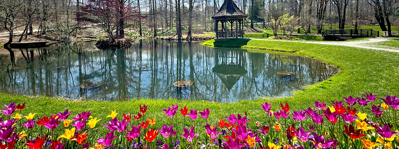Cherokee County Regional Airport