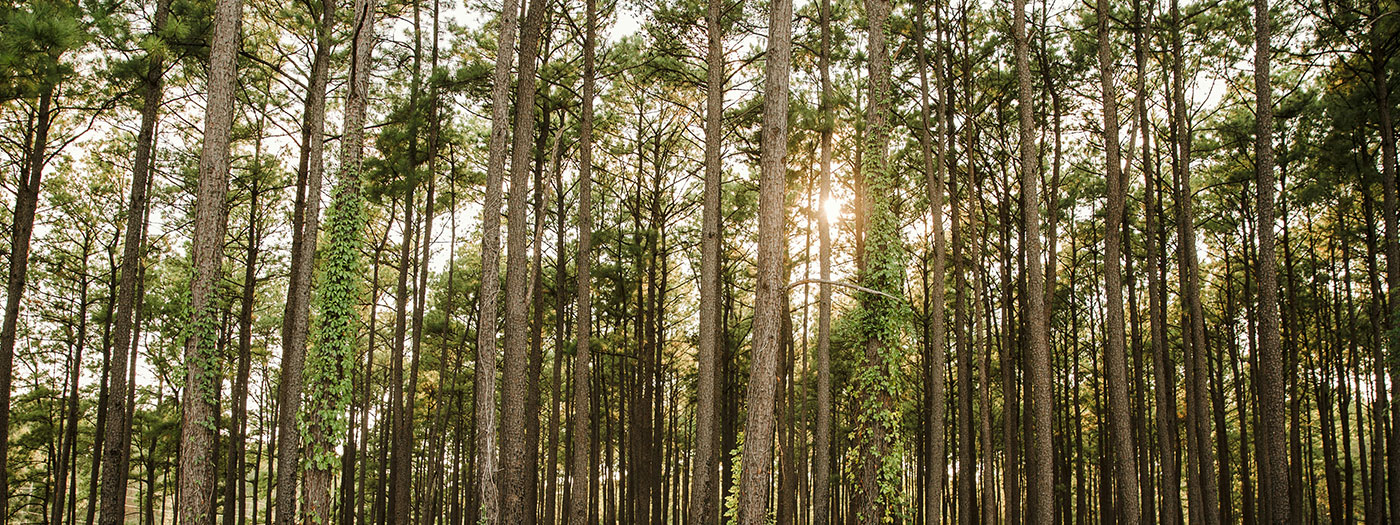 Conroe-North Houston Regional Airport