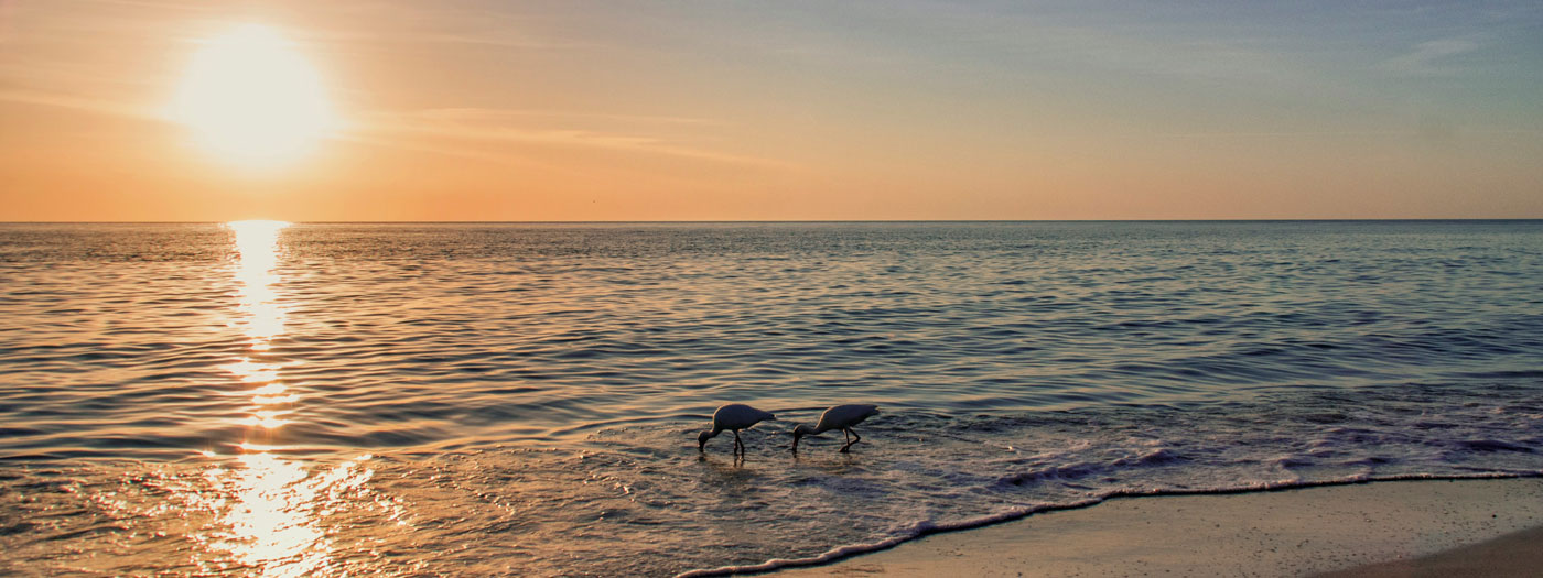 Sarasota Bradenton International Airport